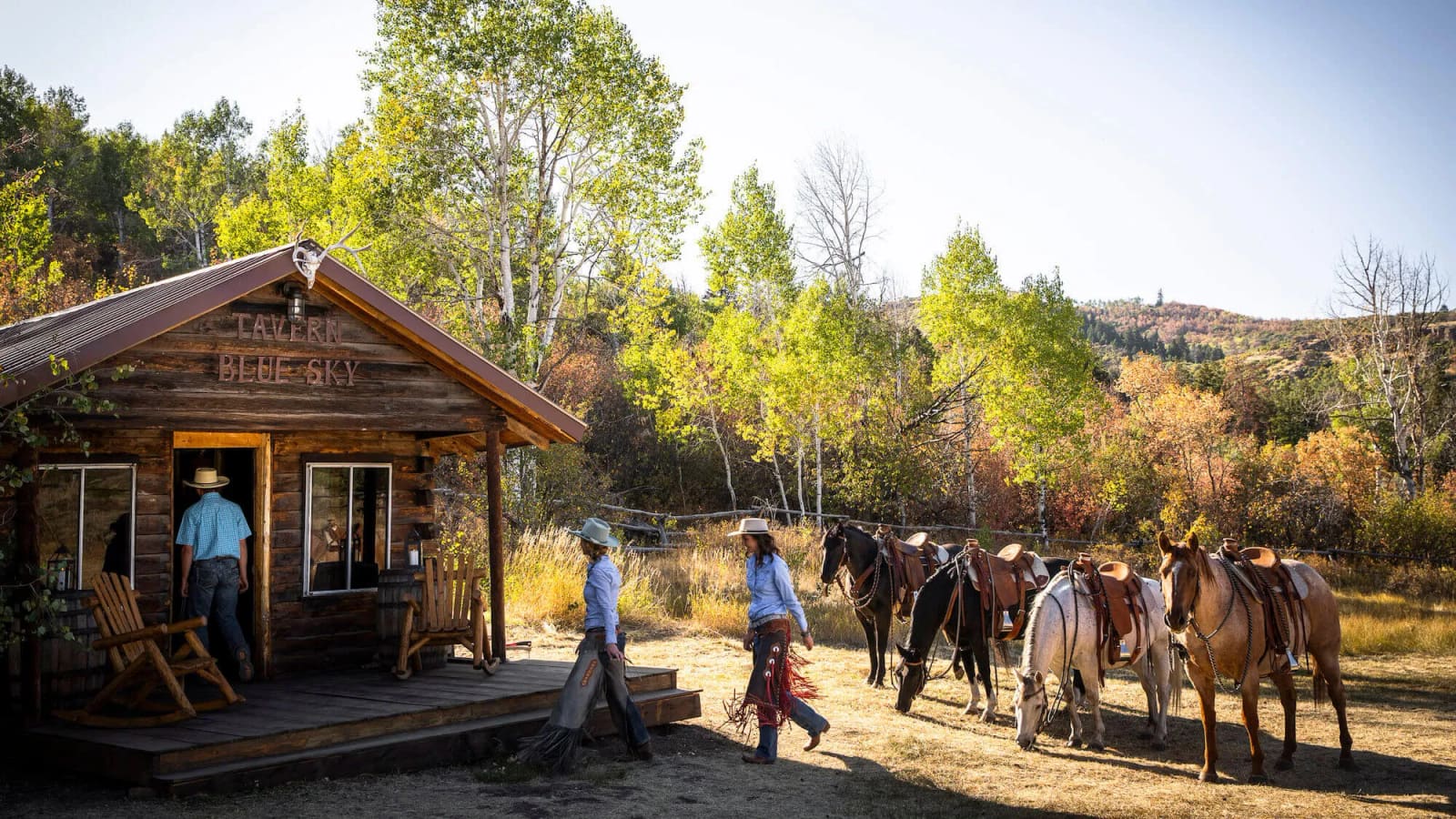 Saddled horses outside the log Tavern cabin among aspens